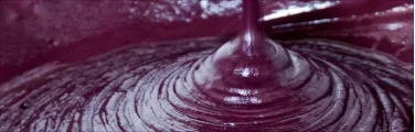 Açaí Puro - Belém