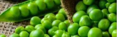 Ervilha Congelada