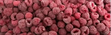 Framboesa Congelada