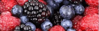 Mix- Frutas Vermelhas